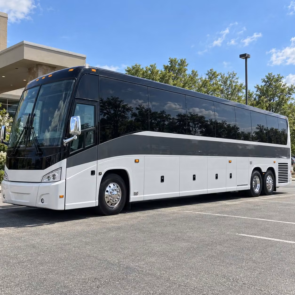 56 passenger charter bus